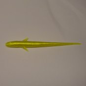 Nättingen Chartreuse 10 cm