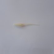Whipstik Albino Shad 10,2 cm
