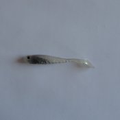 Swimtail Ghost Shad 8,7 cm